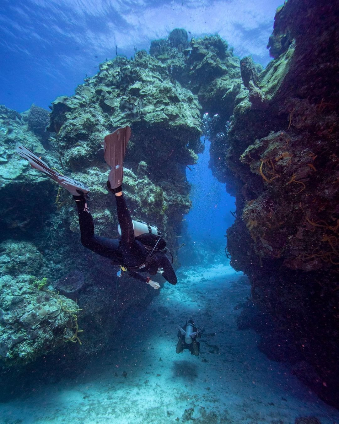 ➤ Curiosities about Cozumel | Best Island In Riviera Maya