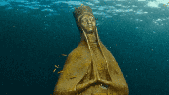 ➤ The Virgin submerged in Chankanaab Park | Visit Cozumel
